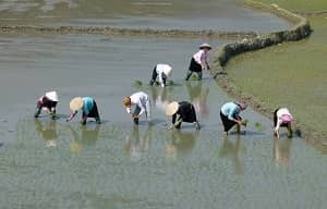 Mai Chau on Northern Vietnam             tour package for family holiday package 2024 & 2025